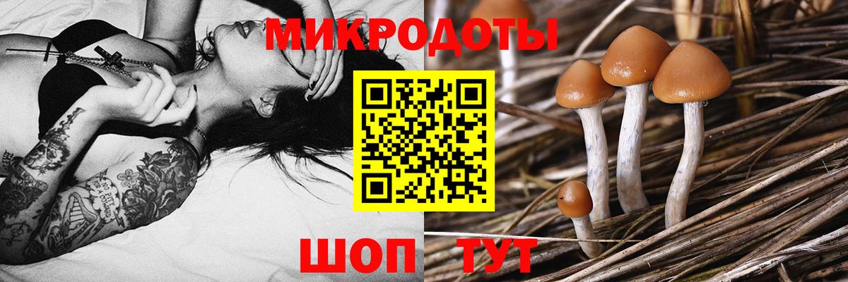 Кубинка  Псилоцибиновые грибы Magic Shrooms  Псилоцибиновые грибы Psilocybe  Вход с VPN 